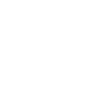 Stellenbosch University logo