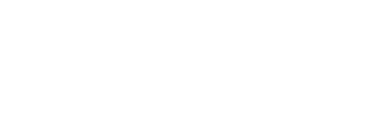 CSIR logo